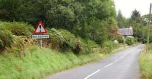Red_squirrel_road_sign_-_geograph.org.uk_-_1465192